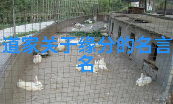 浅谈道教的阴阳鱼太极图 章伟文