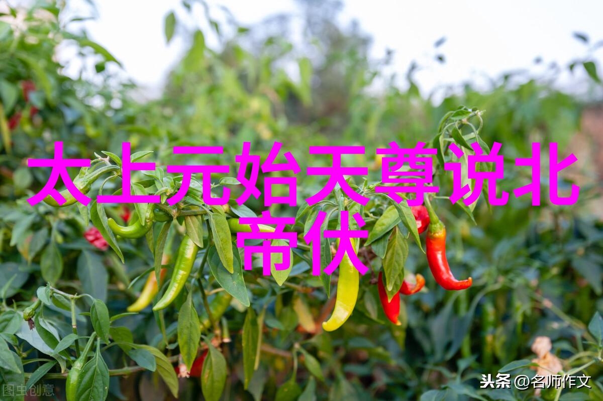 飲食以時道教飲食觀摭談之二 黃永鋒